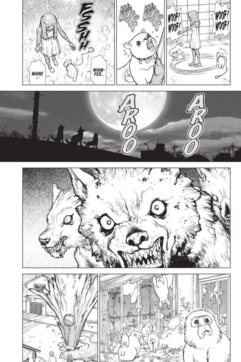 Chapter 1 image 25
