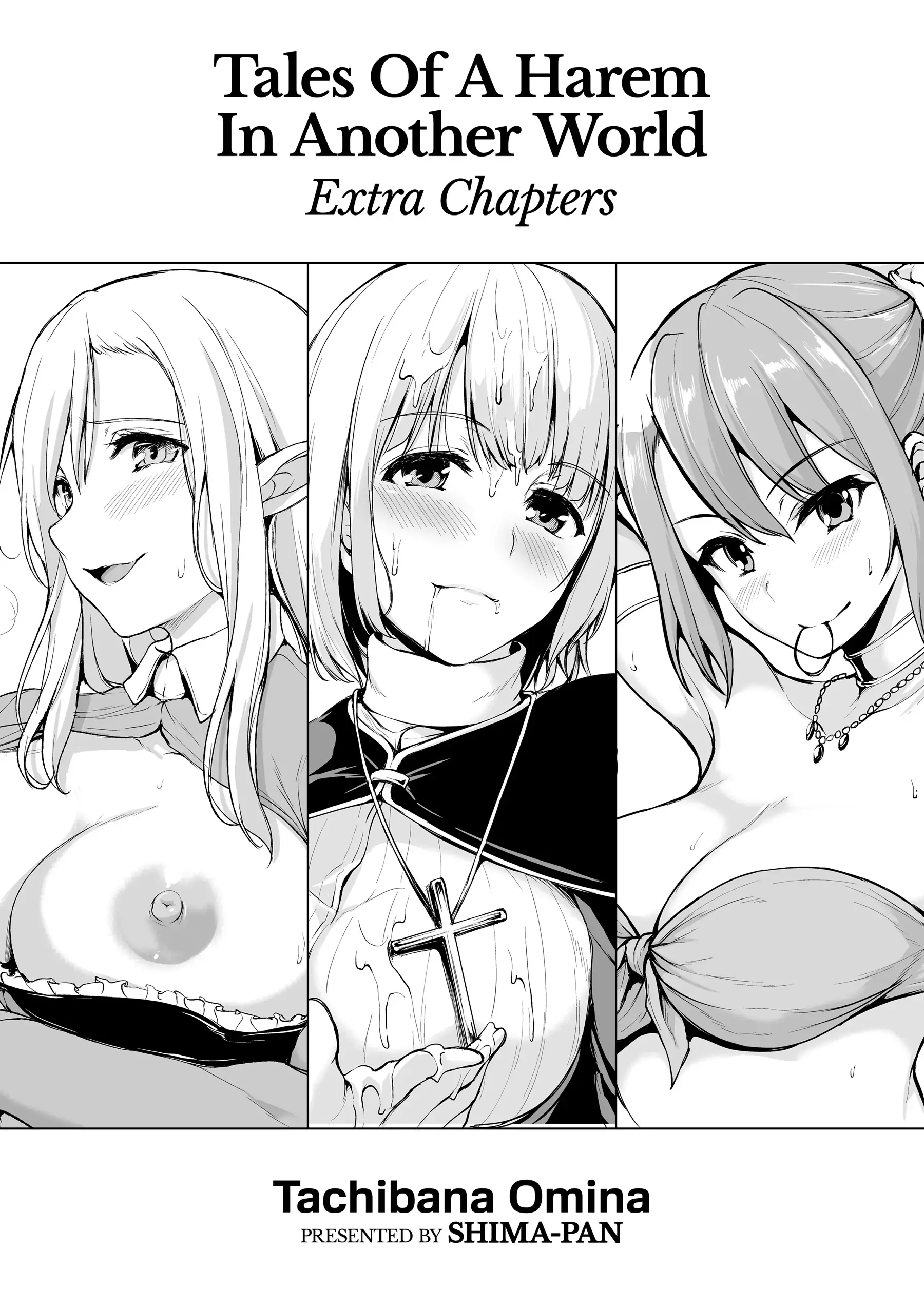 Tales of a Harem in Another World (Official)-Chapter 1.5